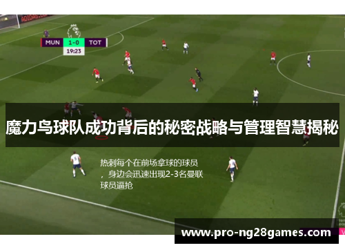 魔力鸟球队成功背后的秘密战略与管理智慧揭秘 魔力鸟球队成功背后的秘密战略与管理智慧揭秘