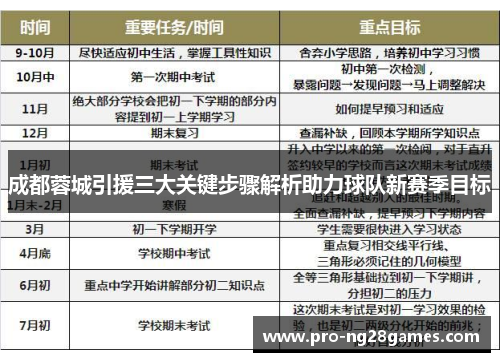 成都蓉城引援三大关键步骤解析助力球队新赛季目标