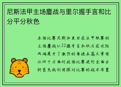 尼斯法甲主场鏖战与里尔握手言和比分平分秋色