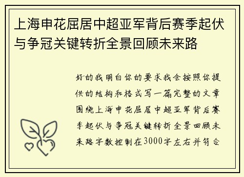 上海申花屈居中超亚军背后赛季起伏与争冠关键转折全景回顾未来路