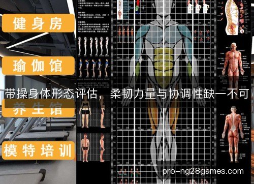 带操身体形态评估，柔韧力量与协调性缺一不可